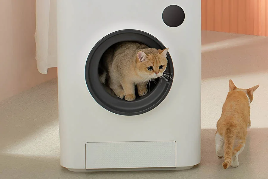 multi cat litter box