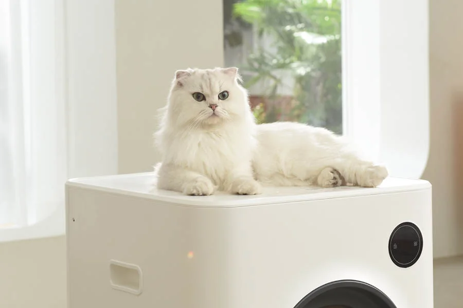 automatic litter box reviews