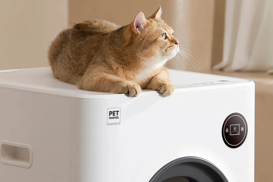 best litter for automatic litter box